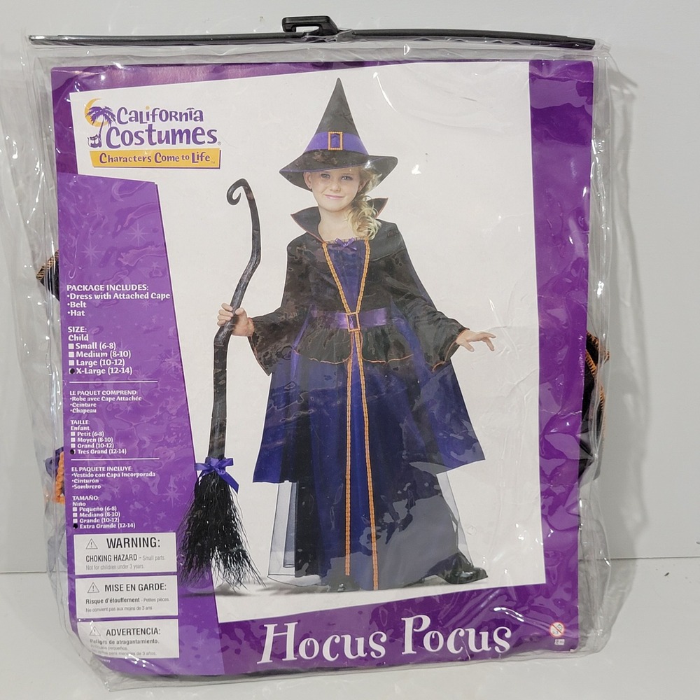 California Costumes Hocus Pocus Witch Kids Costume XL 12-14 Purple Black 00499